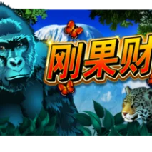 刚果财富