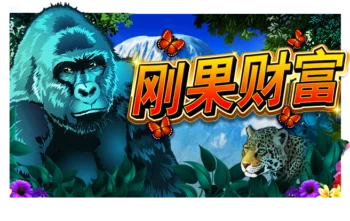 刚果财富