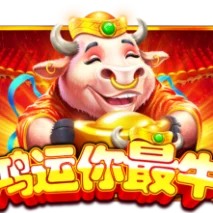 鸿运你最牛