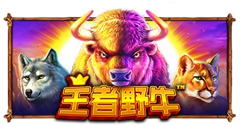 王者野牛