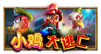 小鸡大逃亡