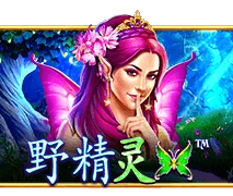 野精灵