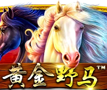 黄金野马