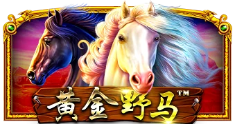 黄金野马