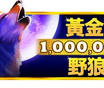 黄金野狼 刮刮乐