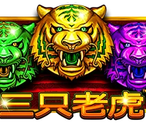 三只老虎