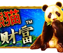 熊猫财富