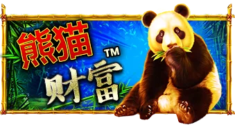 熊猫财富