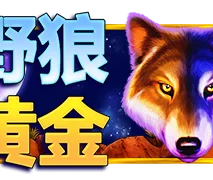 野狼黄金