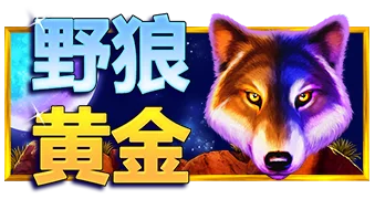 野狼黄金