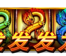 发发发龙