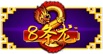 8条龙