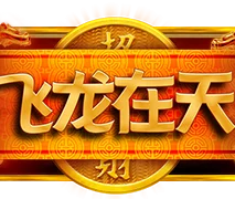 飞龙在天