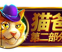 猫爸第二部分