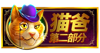 猫爸第二部分