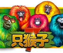 7只猴子