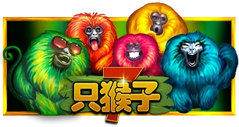 7只猴子
