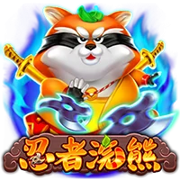 忍者浣熊
