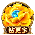 钻更多