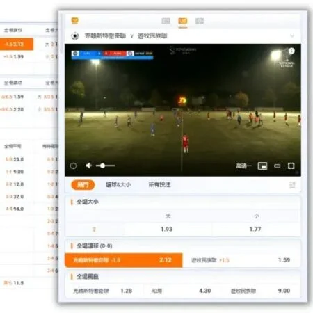 场中下注全攻略:从玩法到返水,新手轻松掌握!